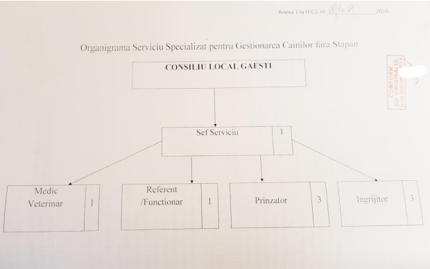 organigrama gestionare caini